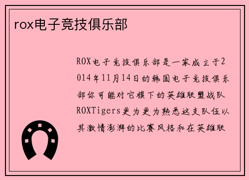 rox电子竞技俱乐部